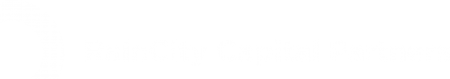Raincity Capital logo